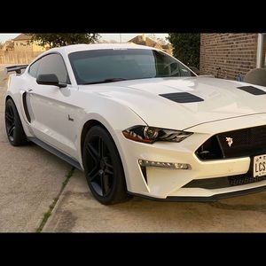 Meet your Posher, Brady